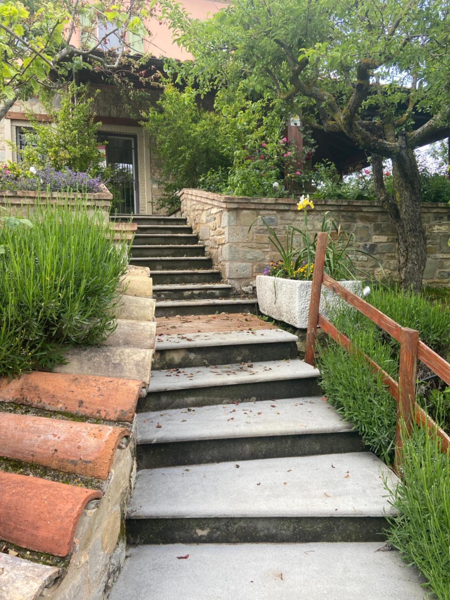 Agriturismo I Tassoni Villa Pavullo nel Frignano Ngoại thất bức ảnh